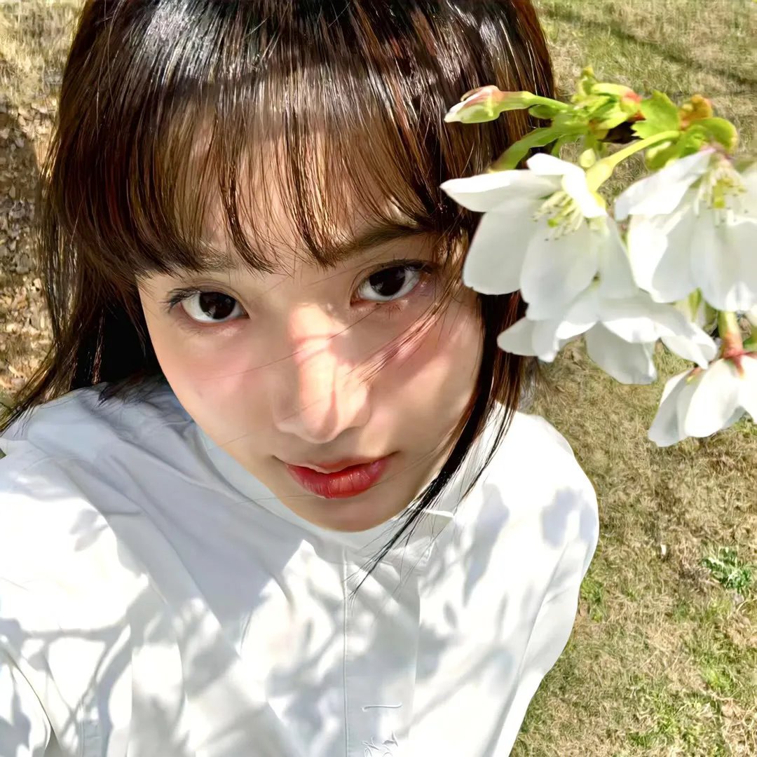 蒂米·菲列：错已铸成